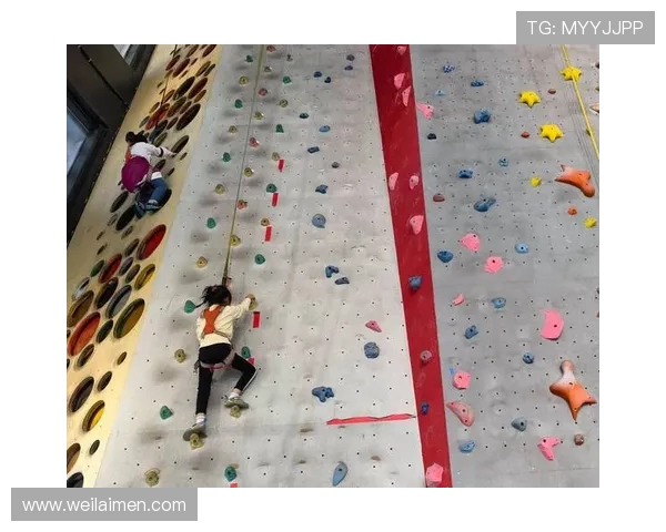 上海攀岩队个人能力排名创新高展现团队实力与潜力