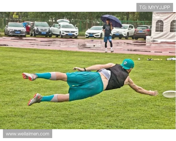 从零开始掌握飞盘技巧与战术全解析助你成为飞盘高手