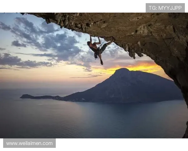 北京极限运动队在攀岩联赛中的团队协作表现分析与点评