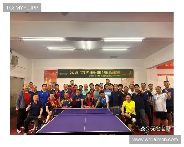 南京乒乓球队反击战术解析与深度剖析乒乓球运动的魅力与挑战