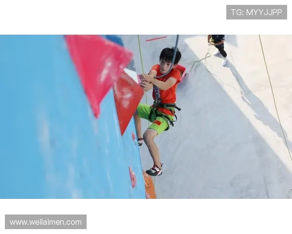 南京攀岩队在全国攀岩战术排行榜中荣获第八名的佳绩引发关注