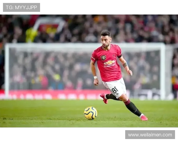 南京排球队的成长之路：从默默无闻到杯赛争辉的奋斗历程