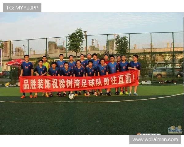 南京足球队的团队协作精神探讨与实践分享