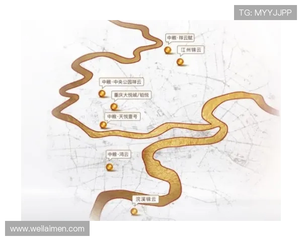 广州网球队的控制革新与未来发展战略深度解析