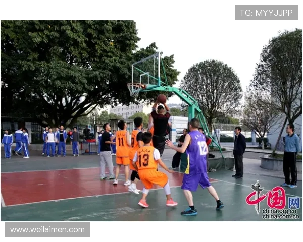 成都篮球队耐力训练揭秘助力球队在赛场上逆风翻盘