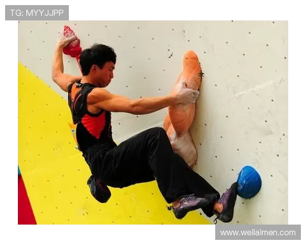 深入探讨上海攀岩队各队员力量对比及训练成果分析