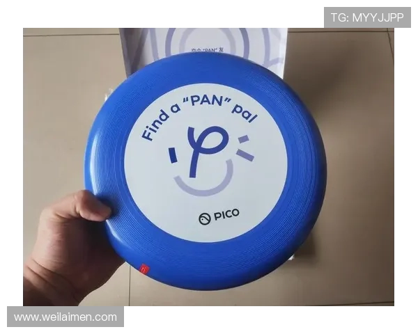 深圳飞盘队在极限运动嘉年华积分榜中以97分稳居第一名