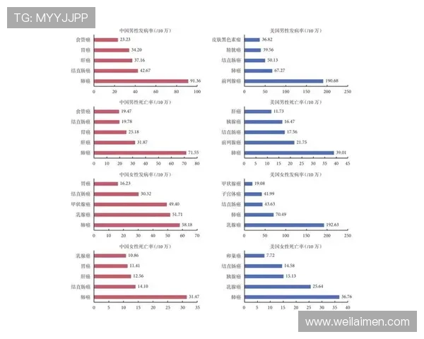 曼联与莱比锡红牛对决技术统计全面分析与数据解读