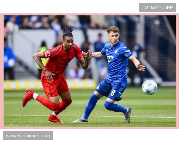 霍芬海姆迎战海牙期待精彩对决双方球员状态火热斗志昂扬 霍芬海姆迎战海牙期待精彩对决双方球员状态火热斗志昂扬