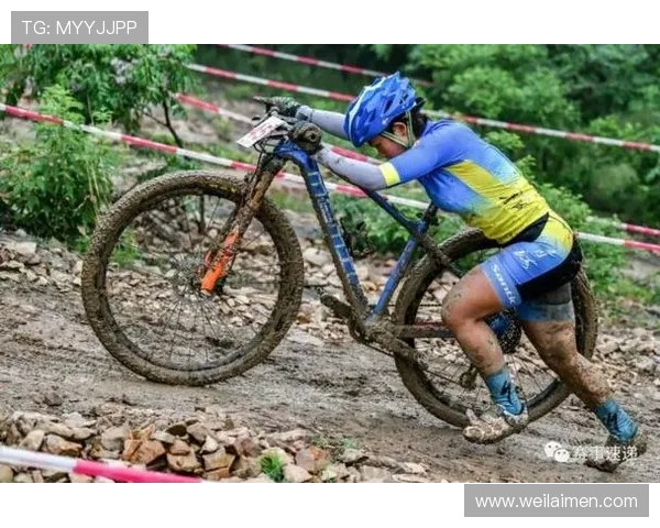 北京排球队与西安排球队耐力对决的赛后分析与反思