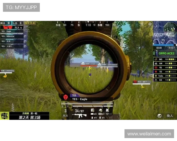 和平精英热点分析：深入探讨FPX的运营策略与成功之道