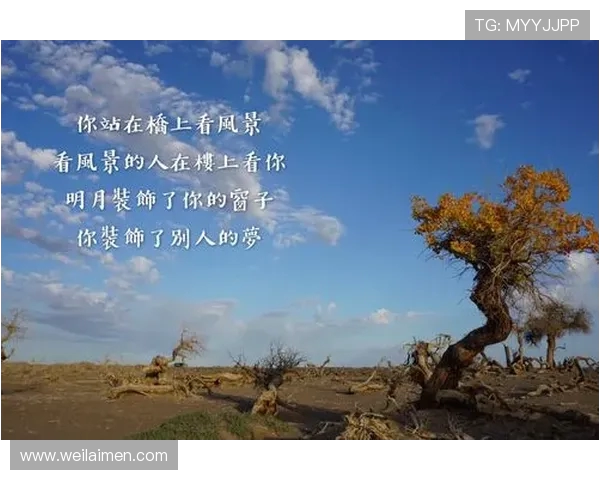 张强专访：从初学者到攀岩高手的心路历程与成长故事